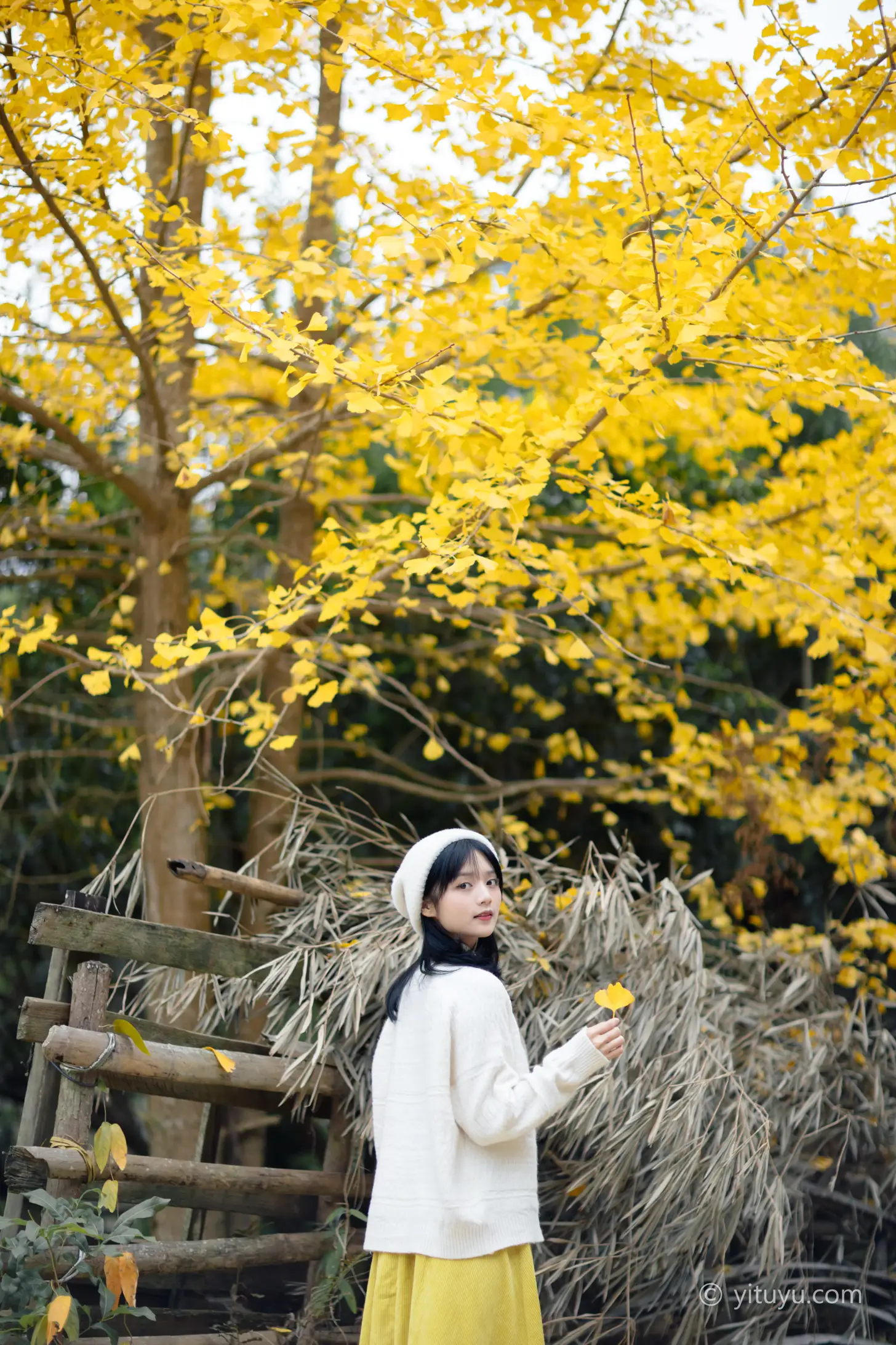 [YITUYU] 2021.08.14 Vol.131 – Ginkgo Love Yuwen#[39P]-11